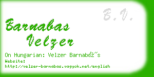 barnabas velzer business card